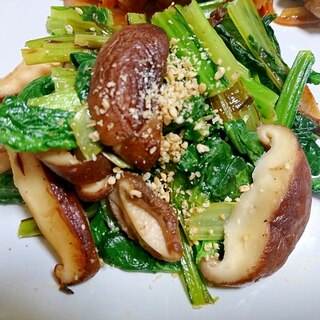 椎茸とちぢみ小松菜の塩炒め